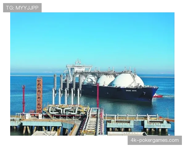 能源转型压力下，德甲俱乐部如何实现球场运营碳中和？